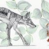 Búsqueda - Ilustración